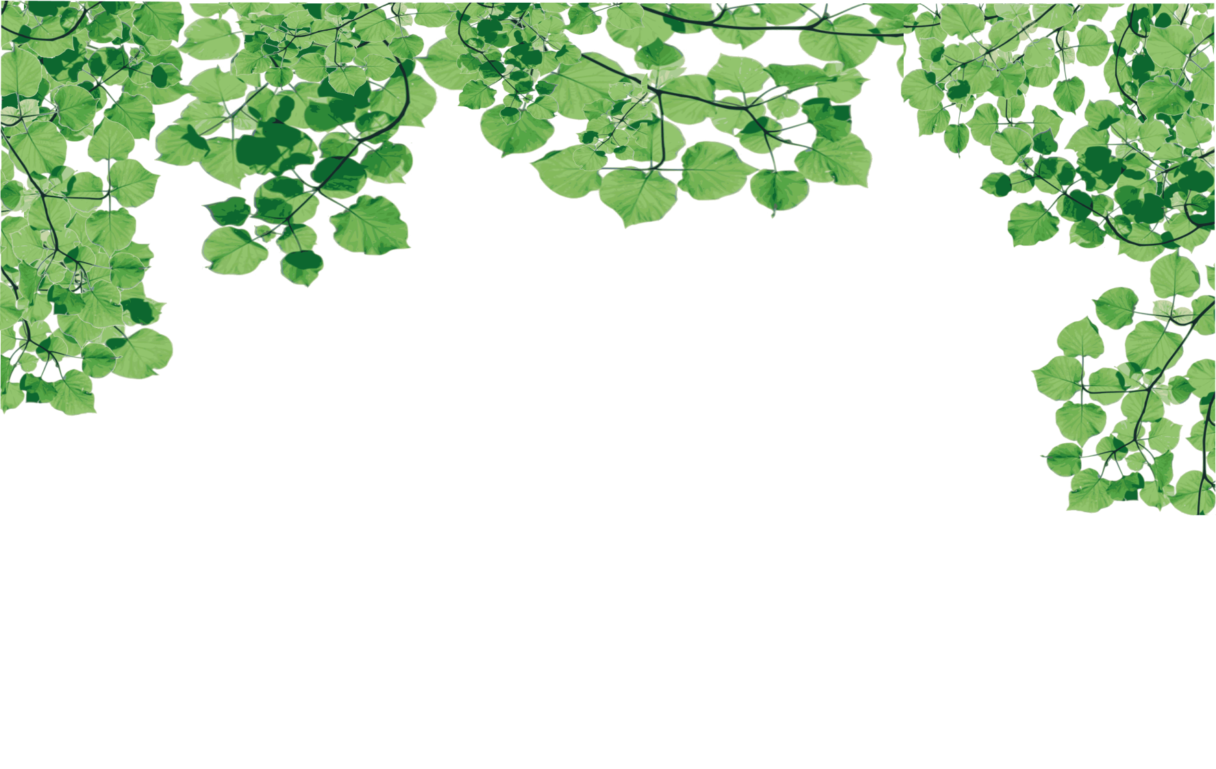 feuilles arrière plan